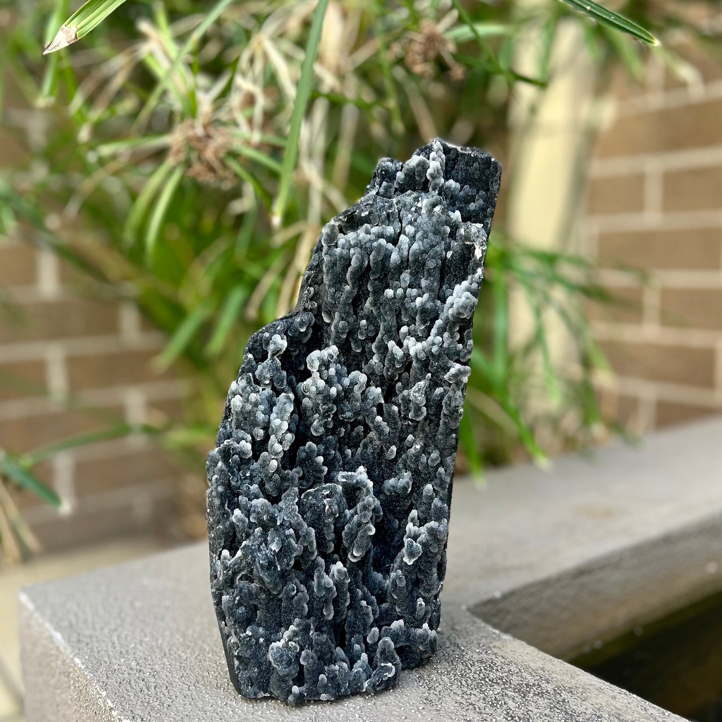 Black Stalactite Chalcedony Freestanding Cluster