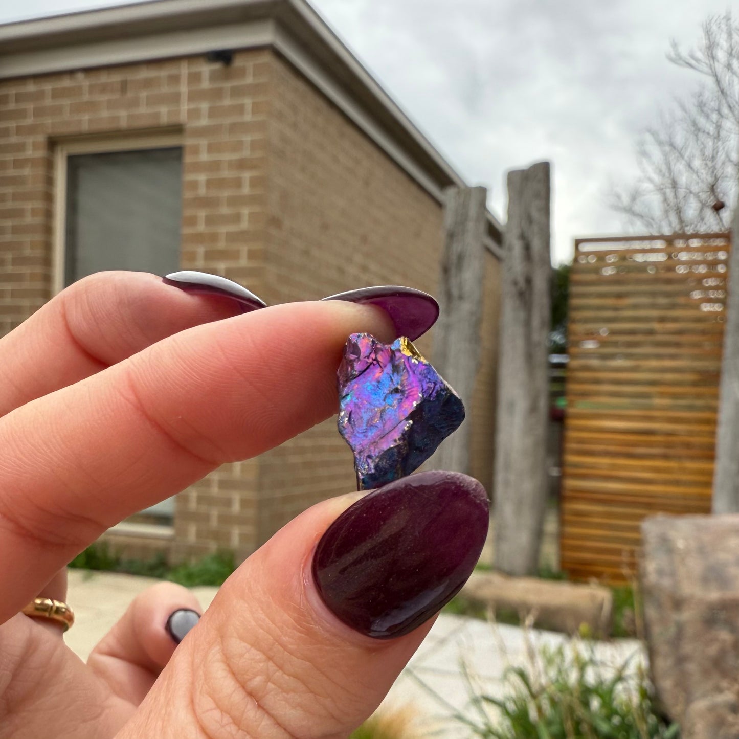 Peacock Ore #18