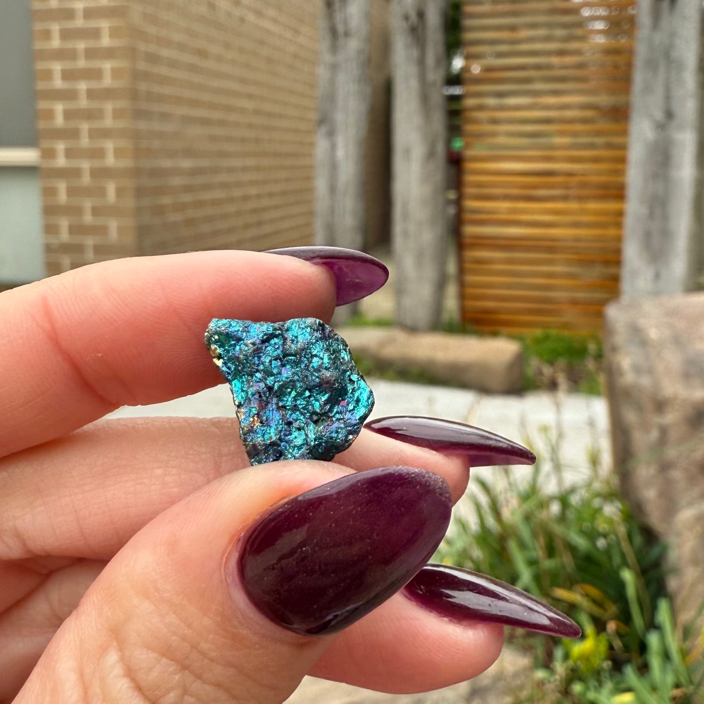 Peacock Ore #7