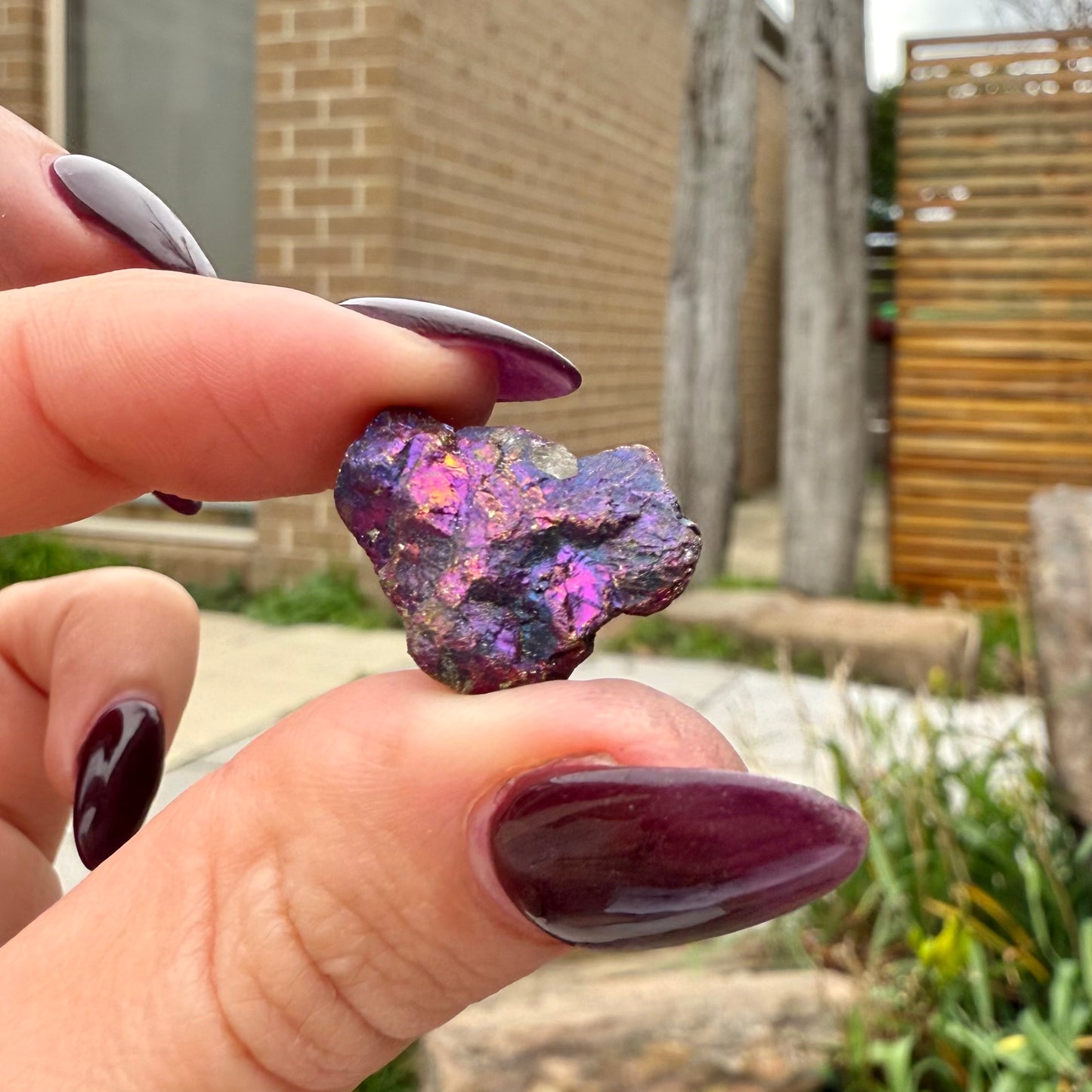Peacock Ore #17