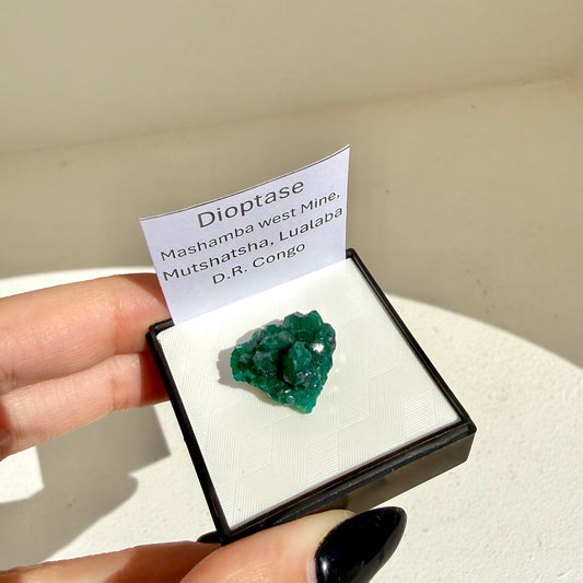 Dioptase Specimen