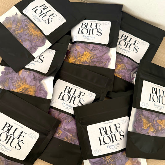 3 x Blue Lotus Flowers