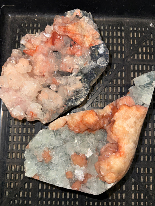 Custom Order