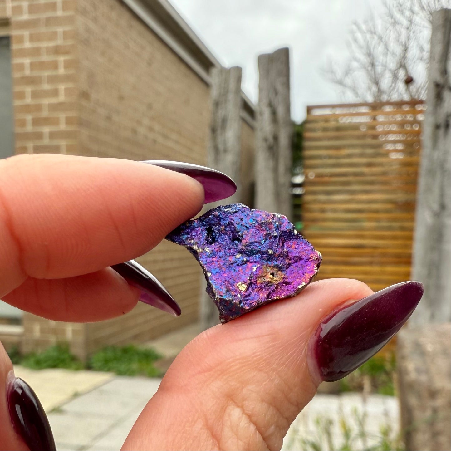 Peacock Ore #3