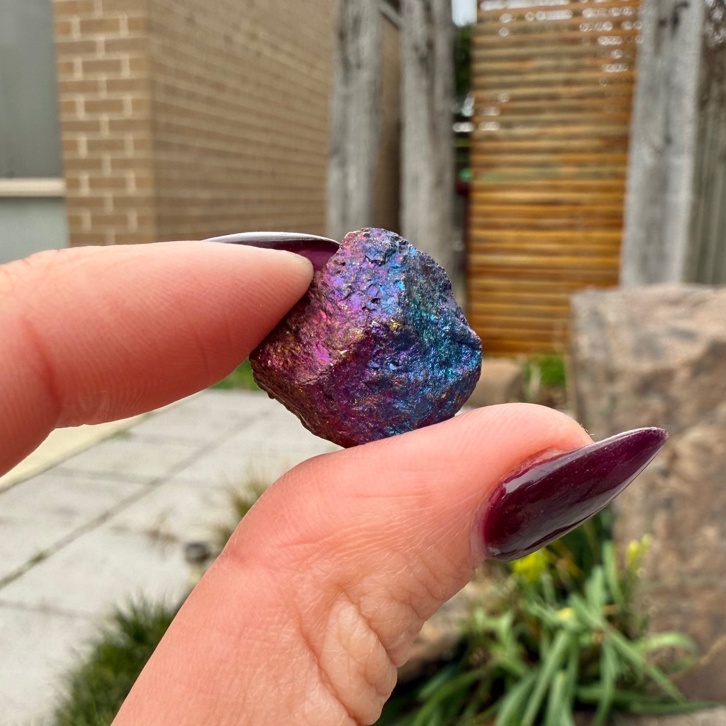 Peacock Ore #1