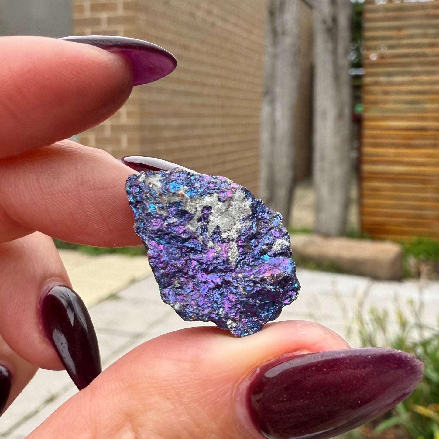 Peacock Ore #12