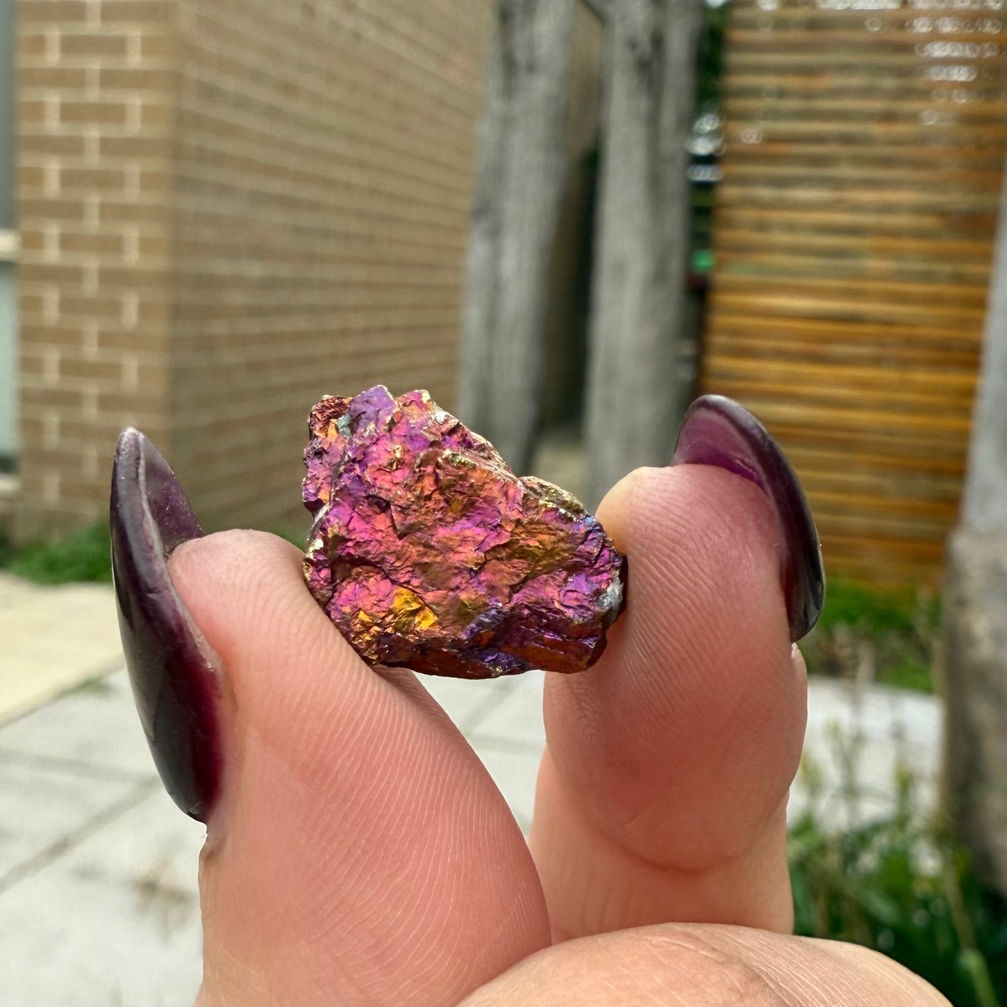Peacock Ore #8
