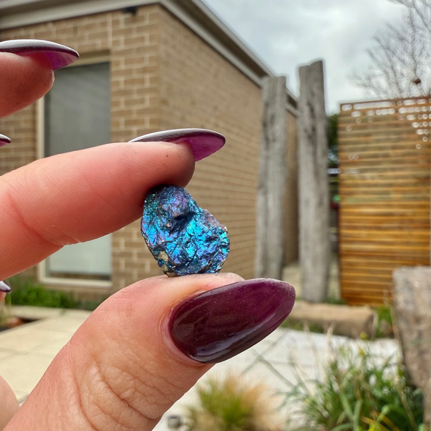 Peacock Ore #24