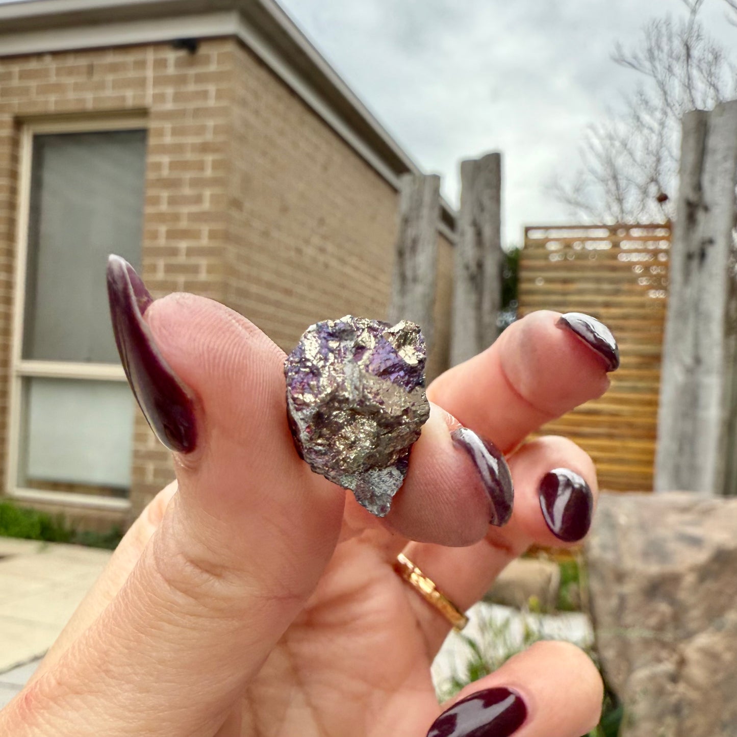 Peacock Ore #21