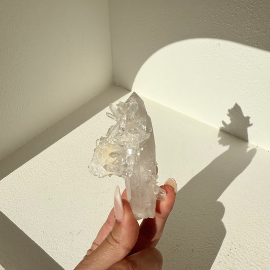 Clear Quartz Cluster