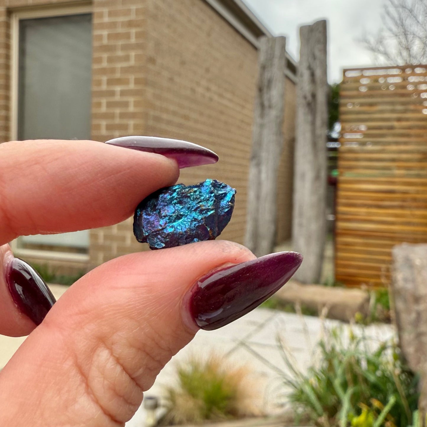 Peacock Ore #24