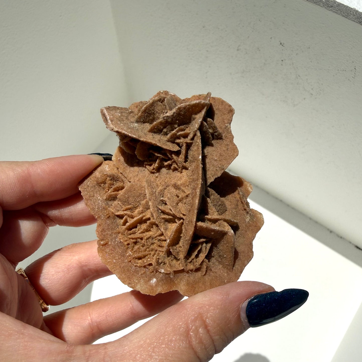 Gypsum Desert Rose