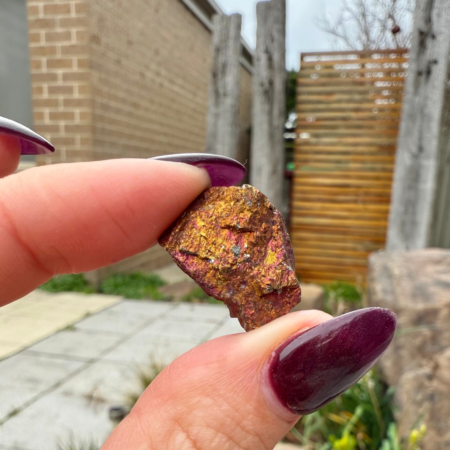 Peacock Ore #2