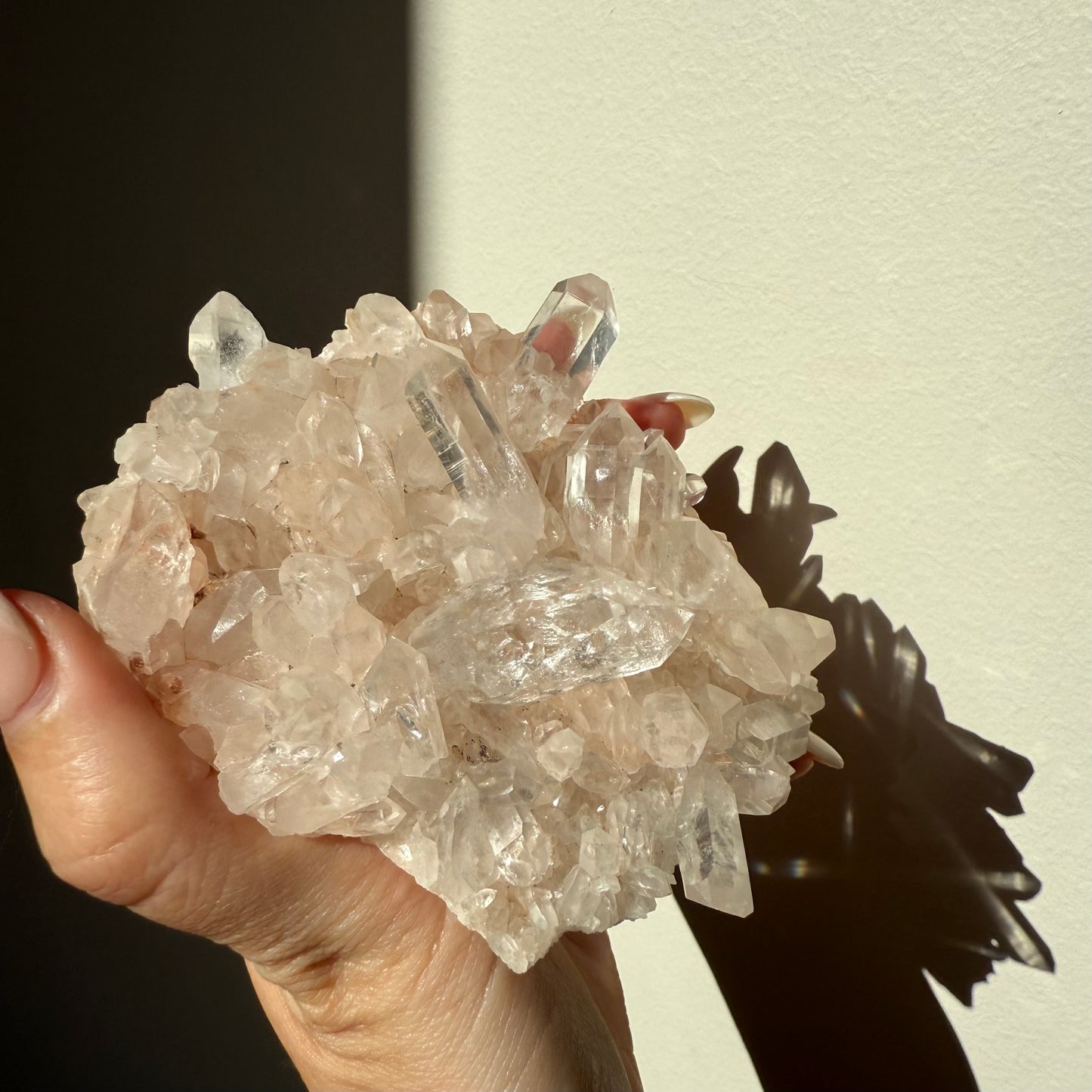 Himalayan Quartz Cluster
