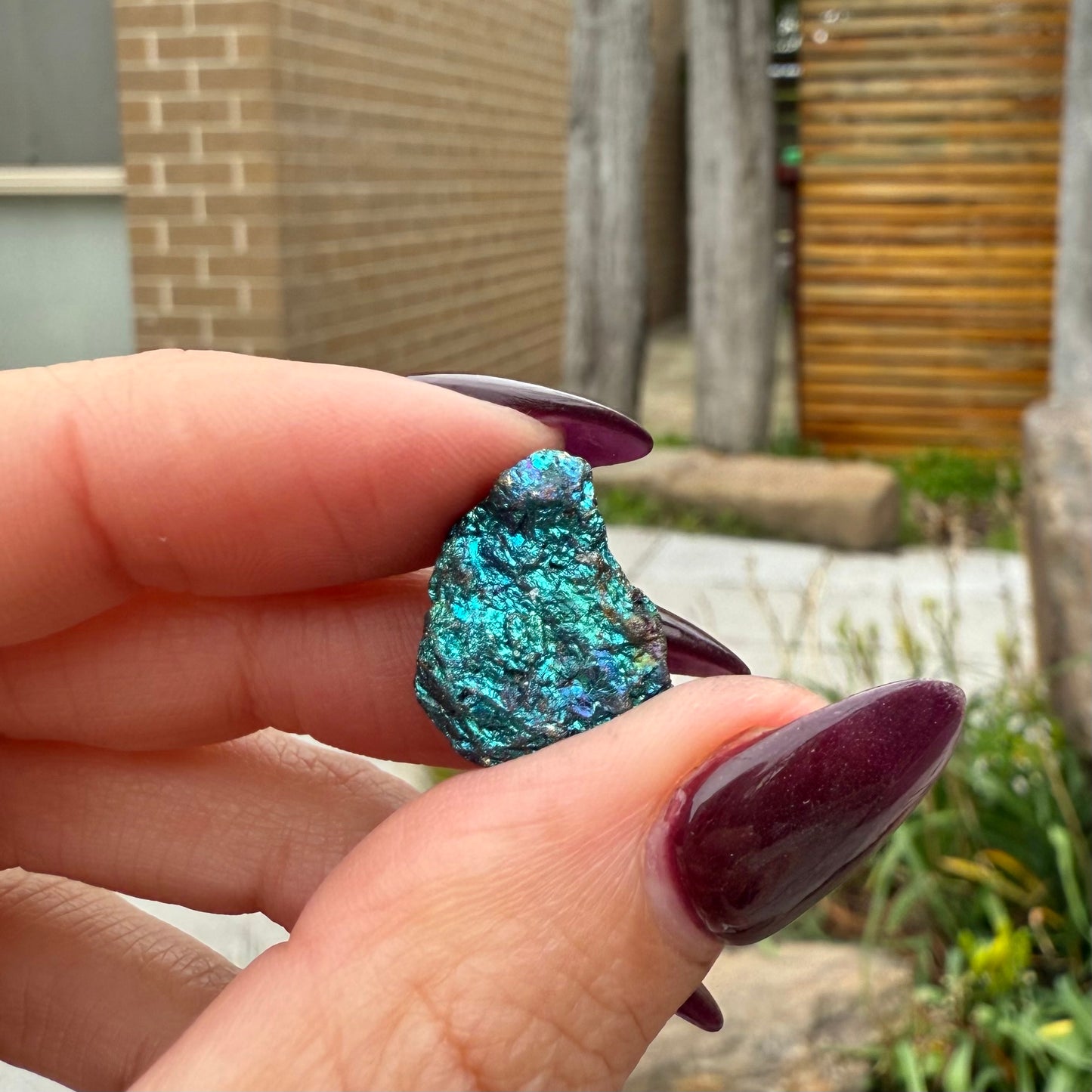 Peacock Ore #7