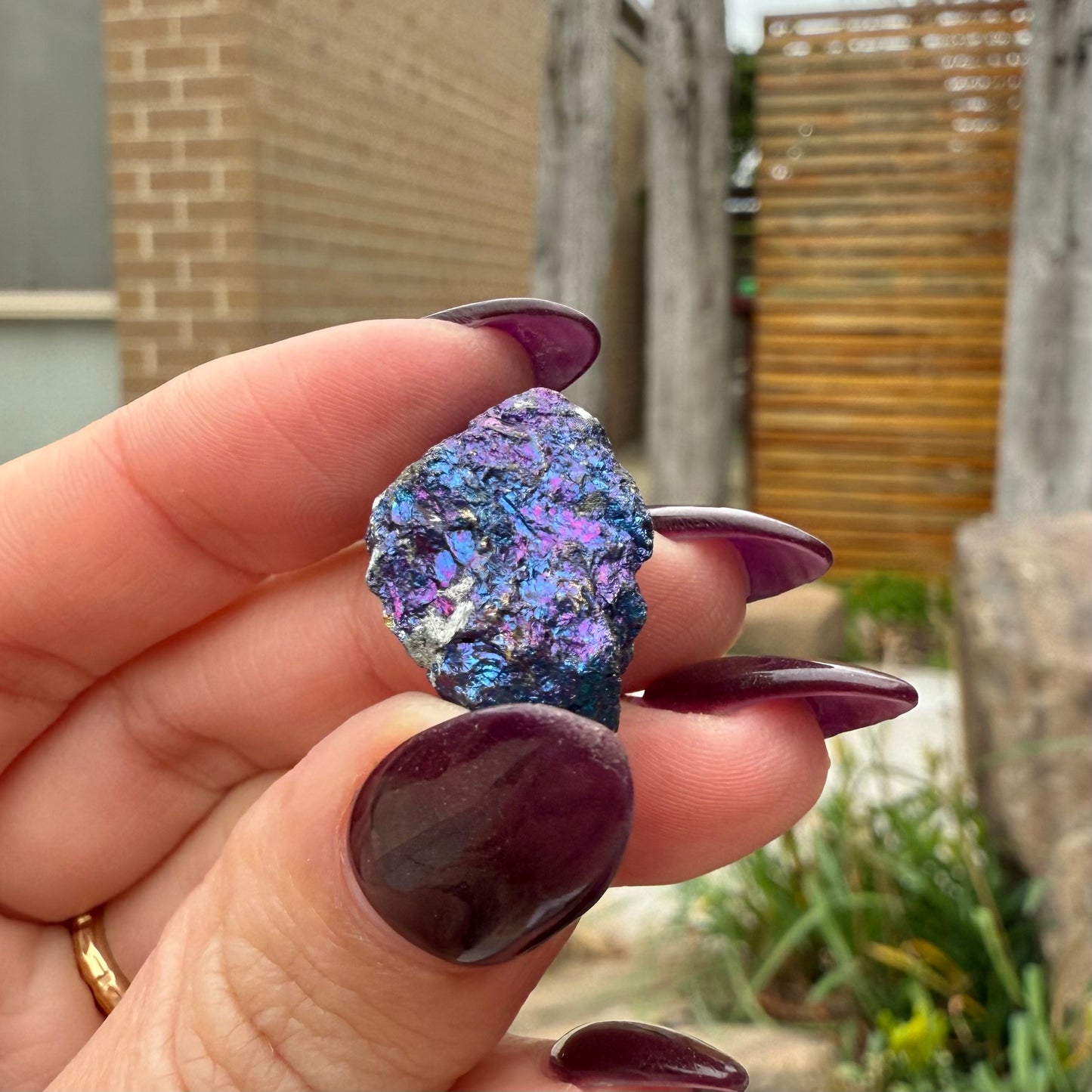 Peacock Ore #12