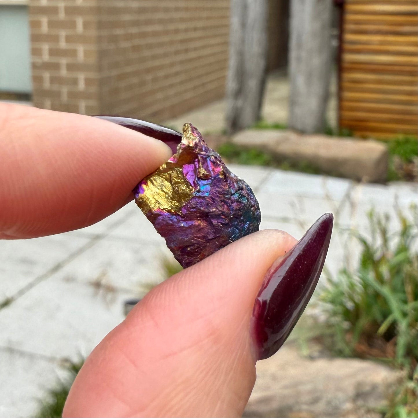Peacock Ore #13