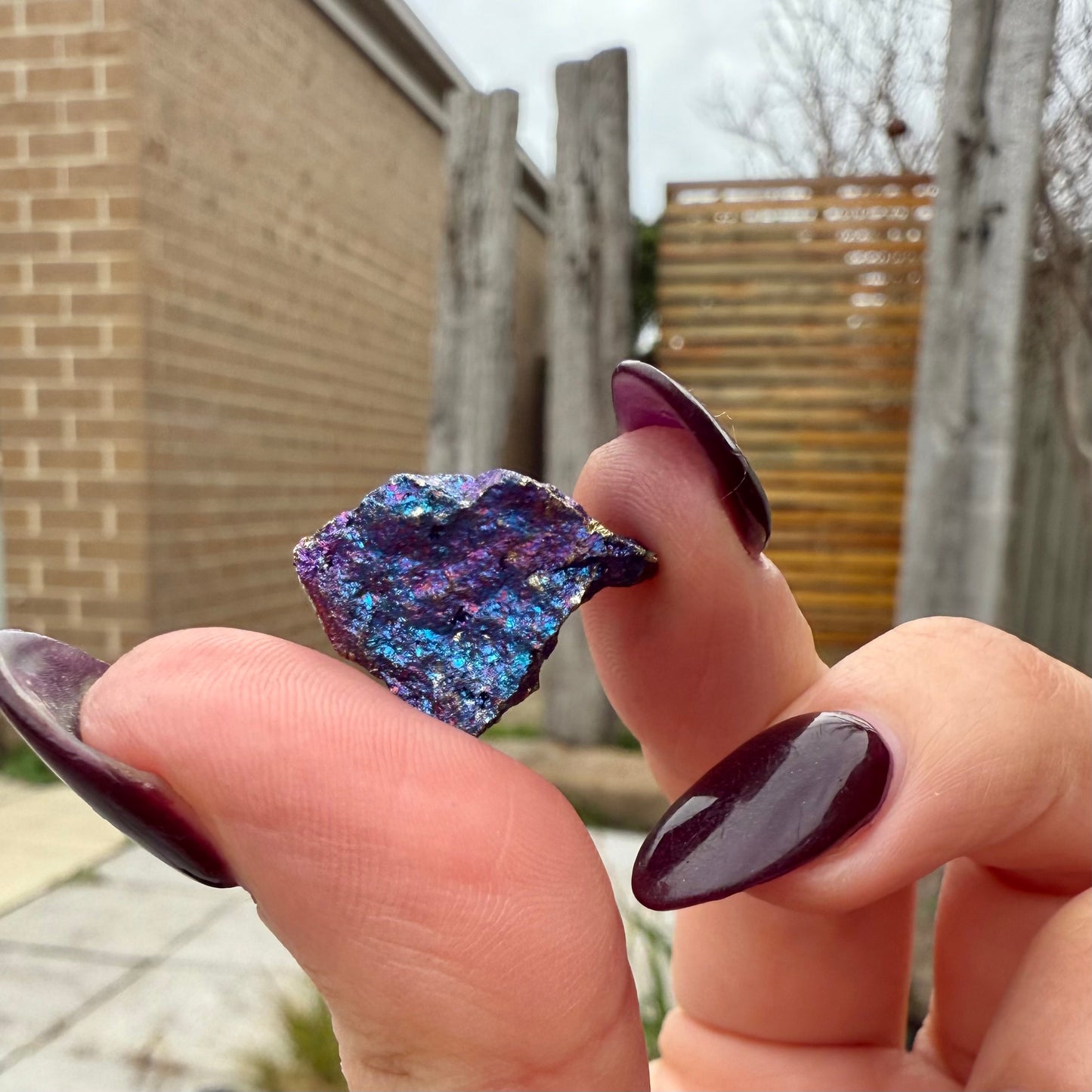 Peacock Ore #3
