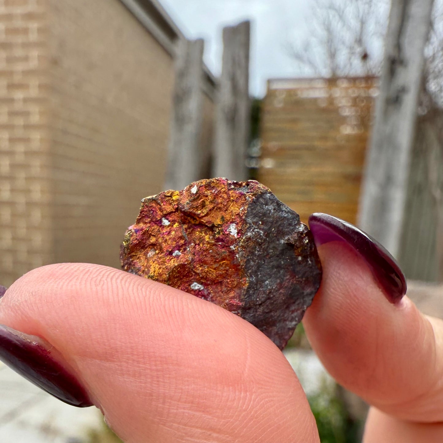 Peacock Ore #2