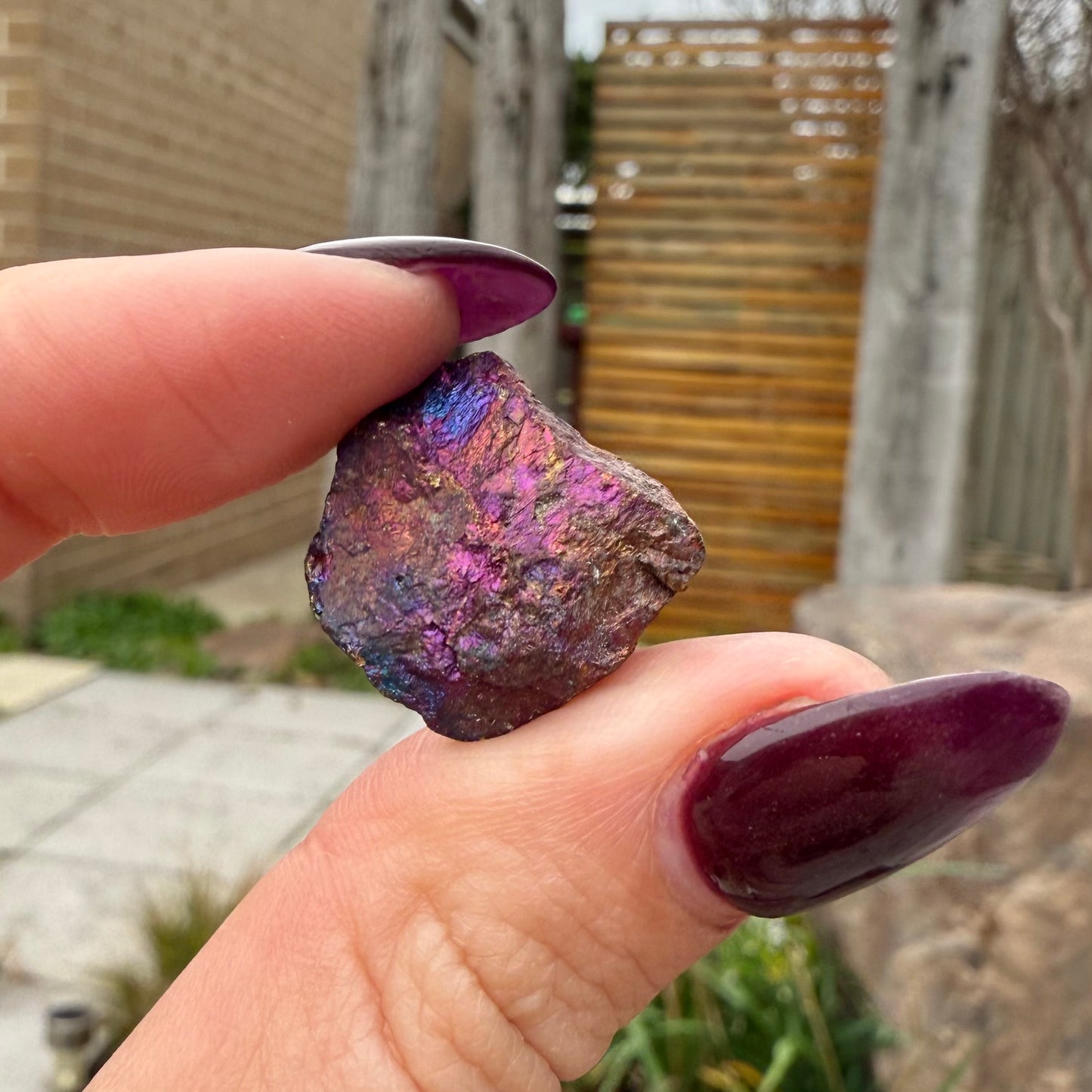 Peacock Ore #1