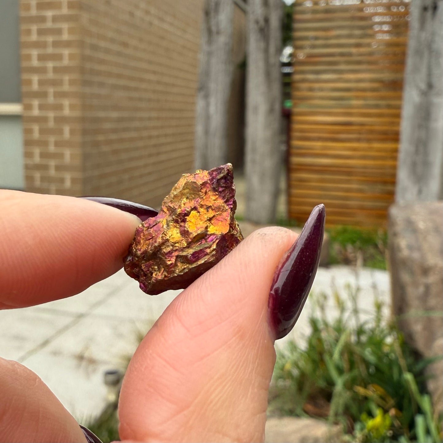Peacock Ore #8