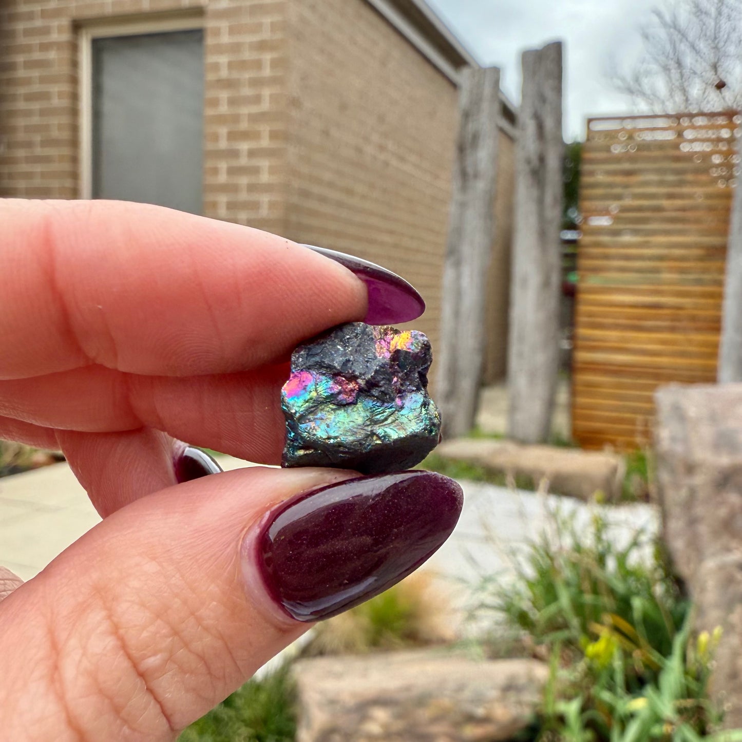 Peacock Ore #23
