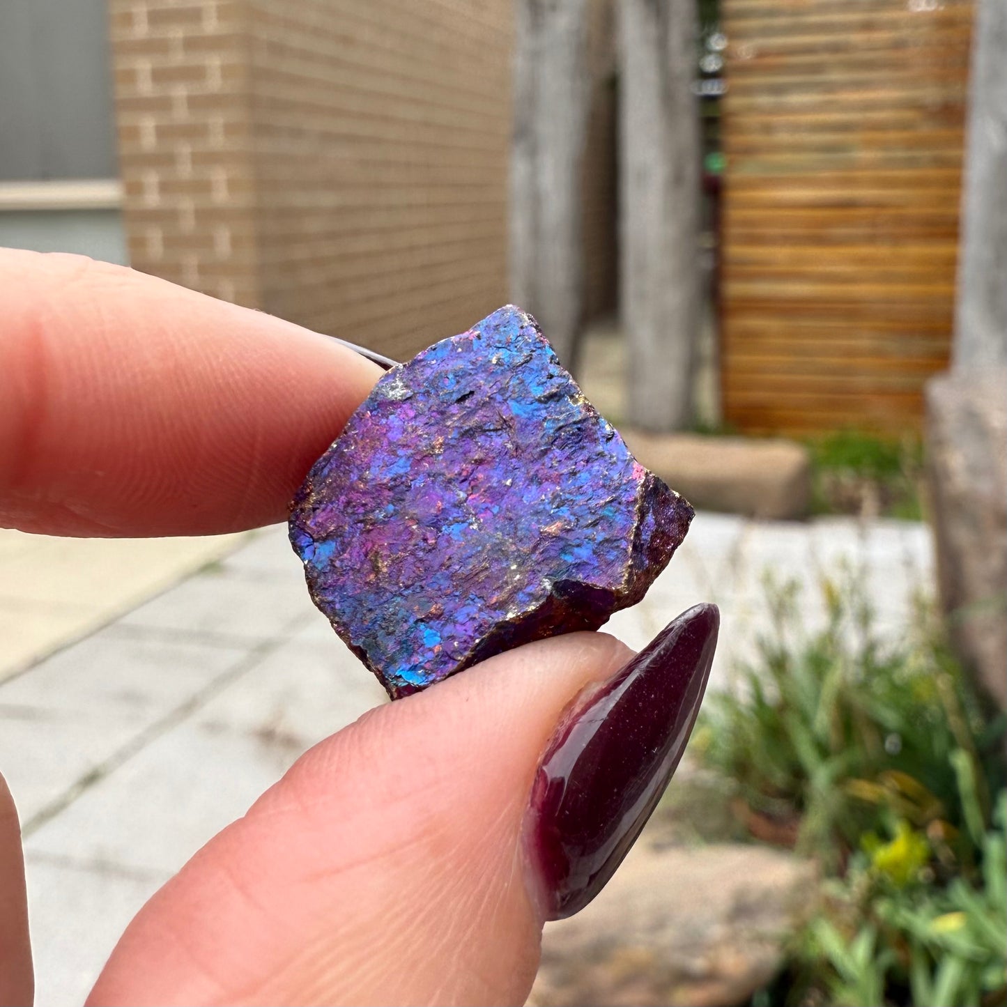 Peacock Ore #6