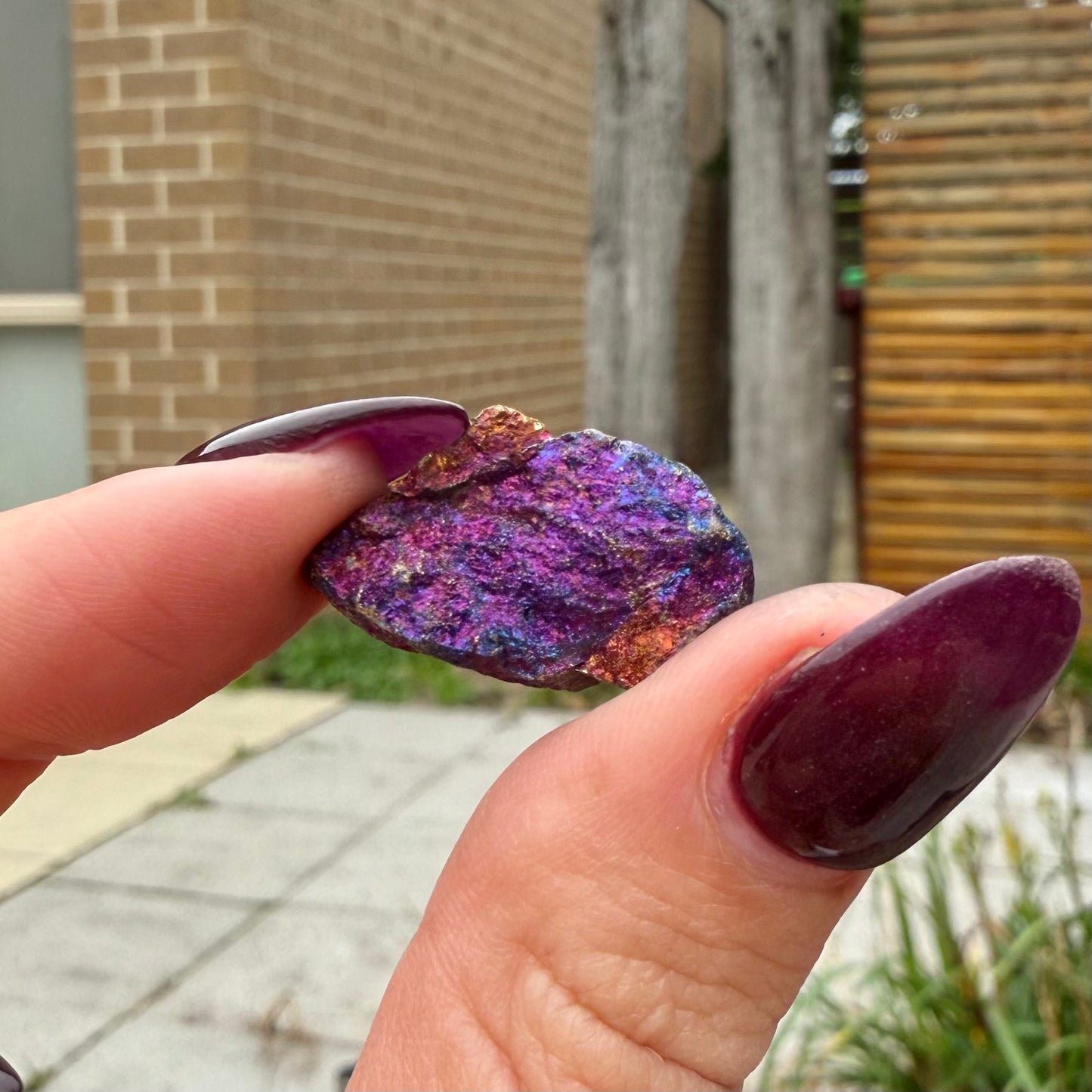 Peacock Ore #15