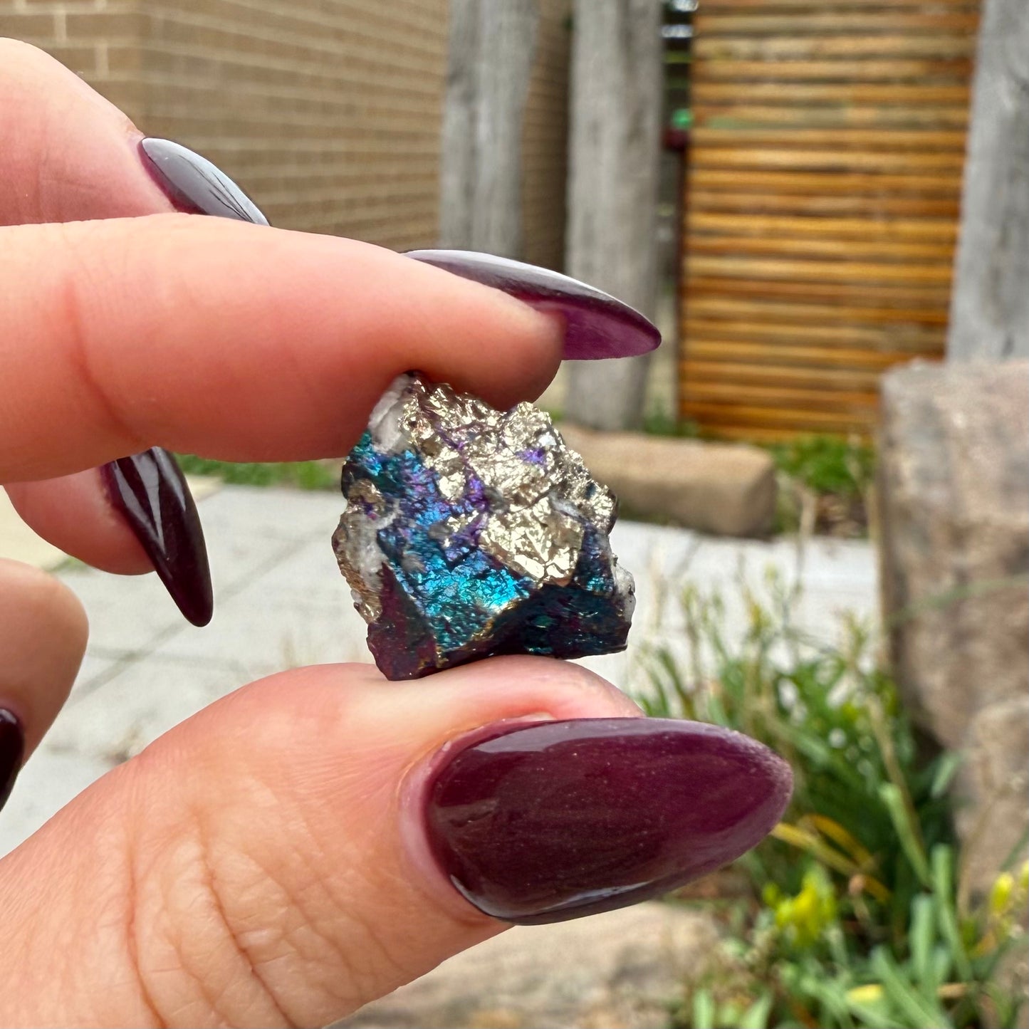 Peacock Ore #11
