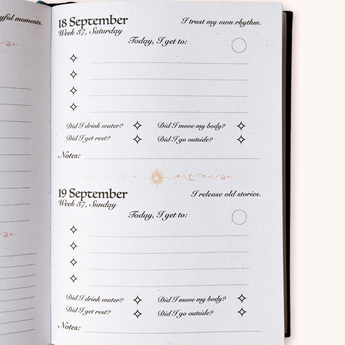 Dreamy Moons Black 2027 Daily Planner