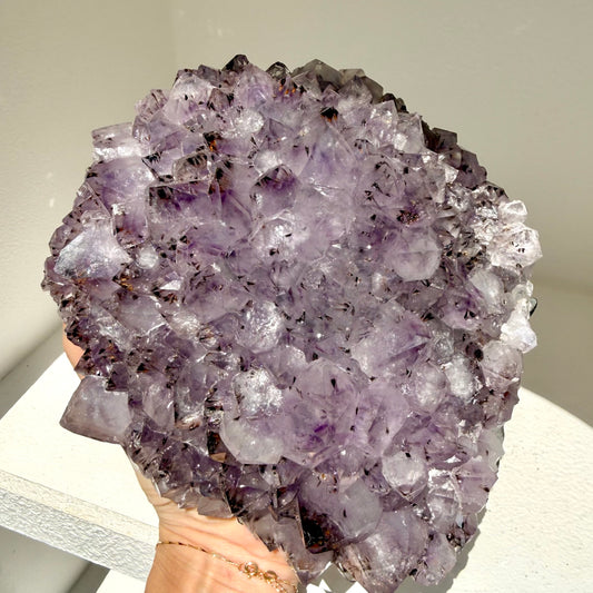 Amethyst + Cacoxenite Pine Cluster