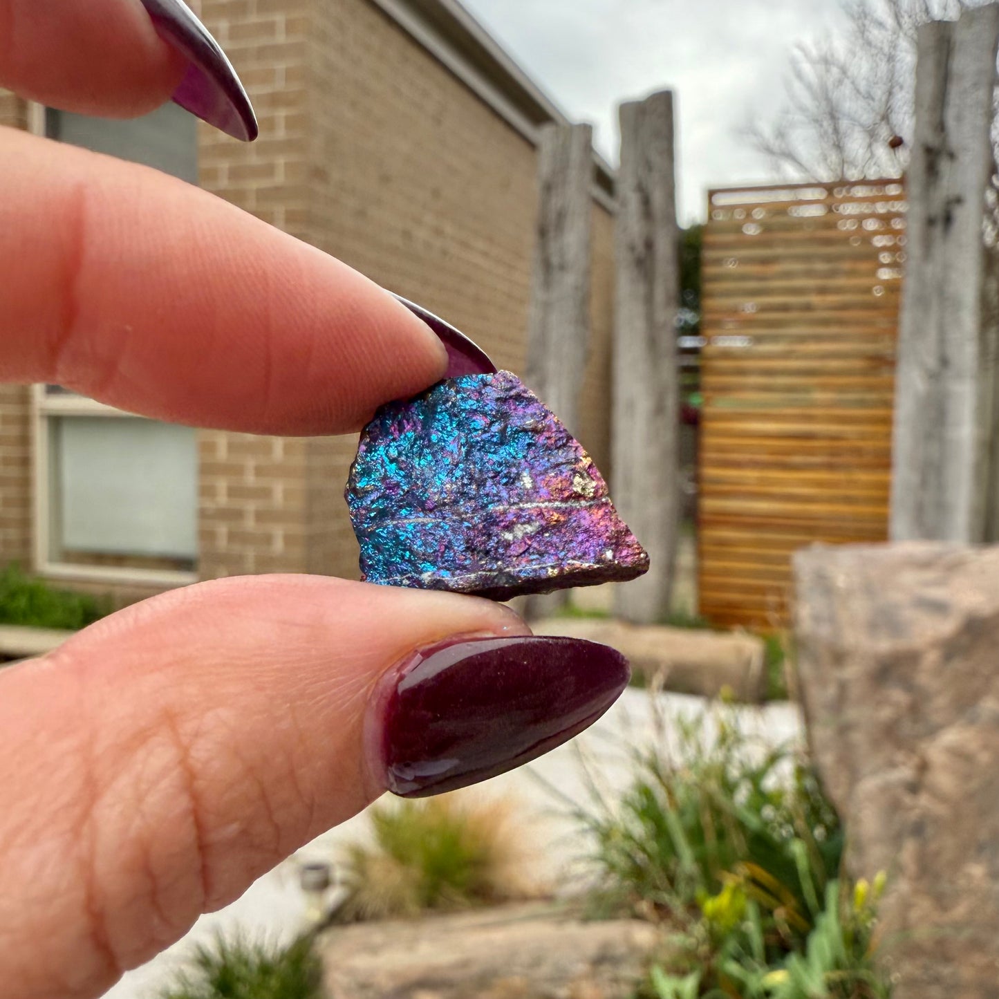 Peacock Ore #22