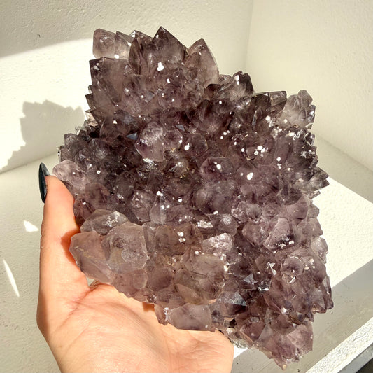 Amethyst Cluster