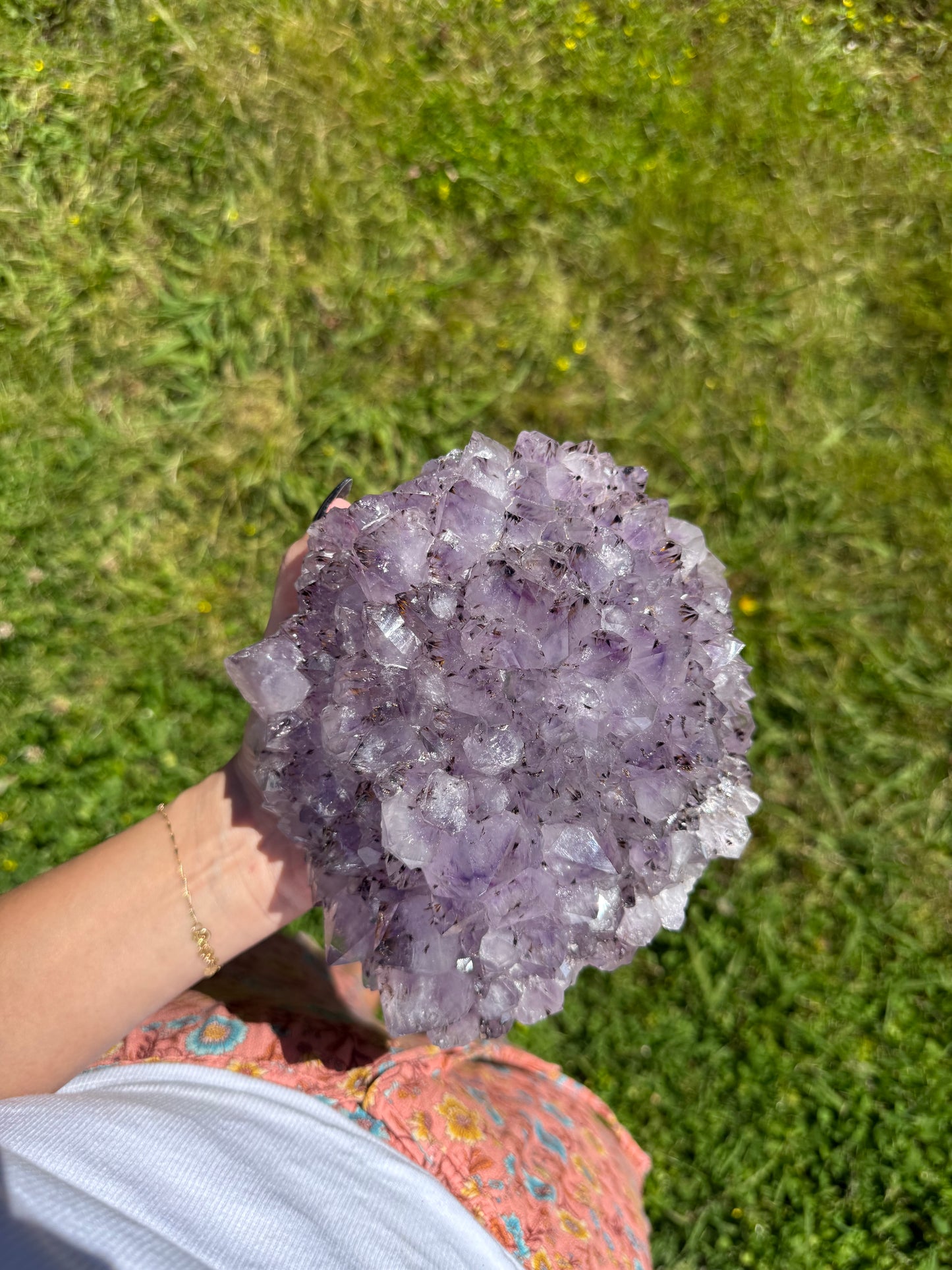 Amethyst + Cacoxenite Pine Cluster