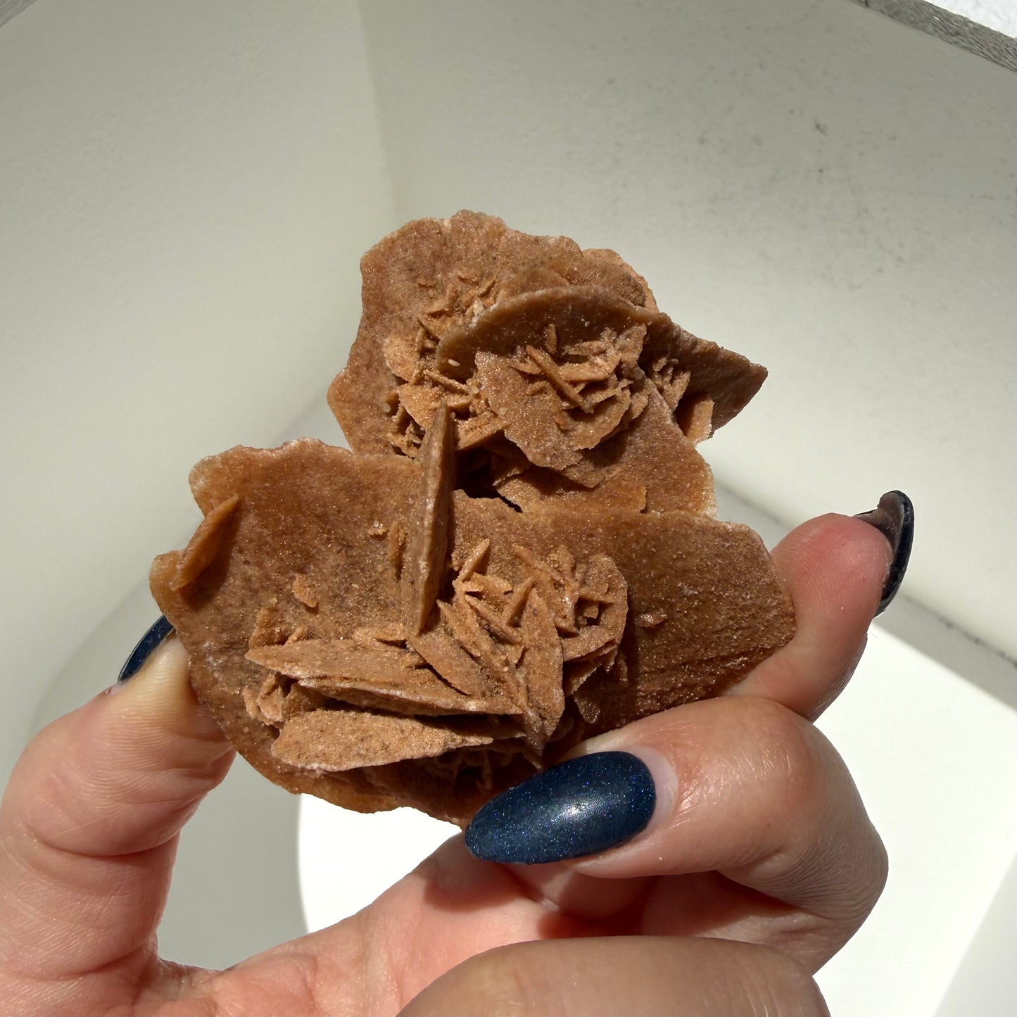 Gypsum Desert Rose