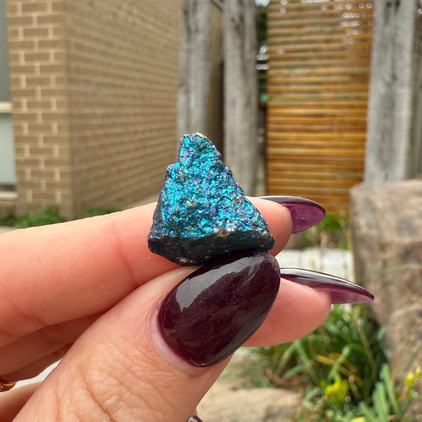 Peacock Ore #4