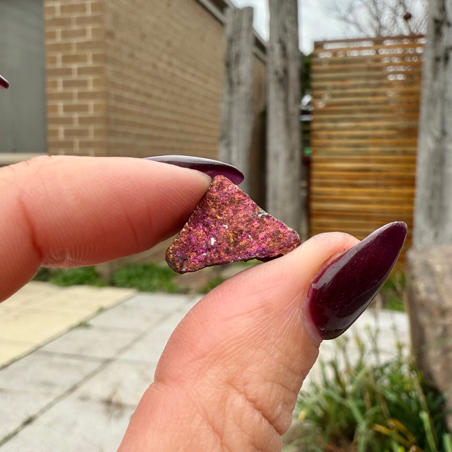 Peacock Ore #14