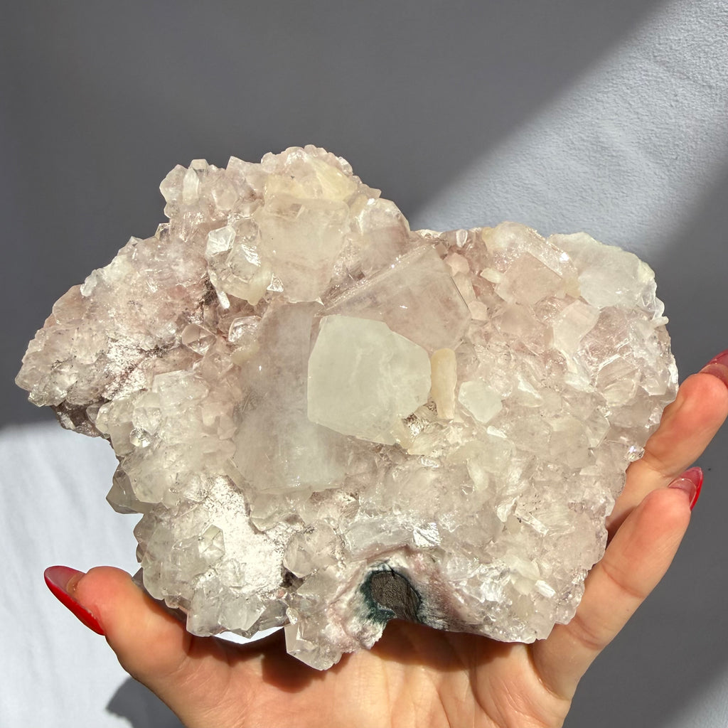 Blush Apophyllite Freeform