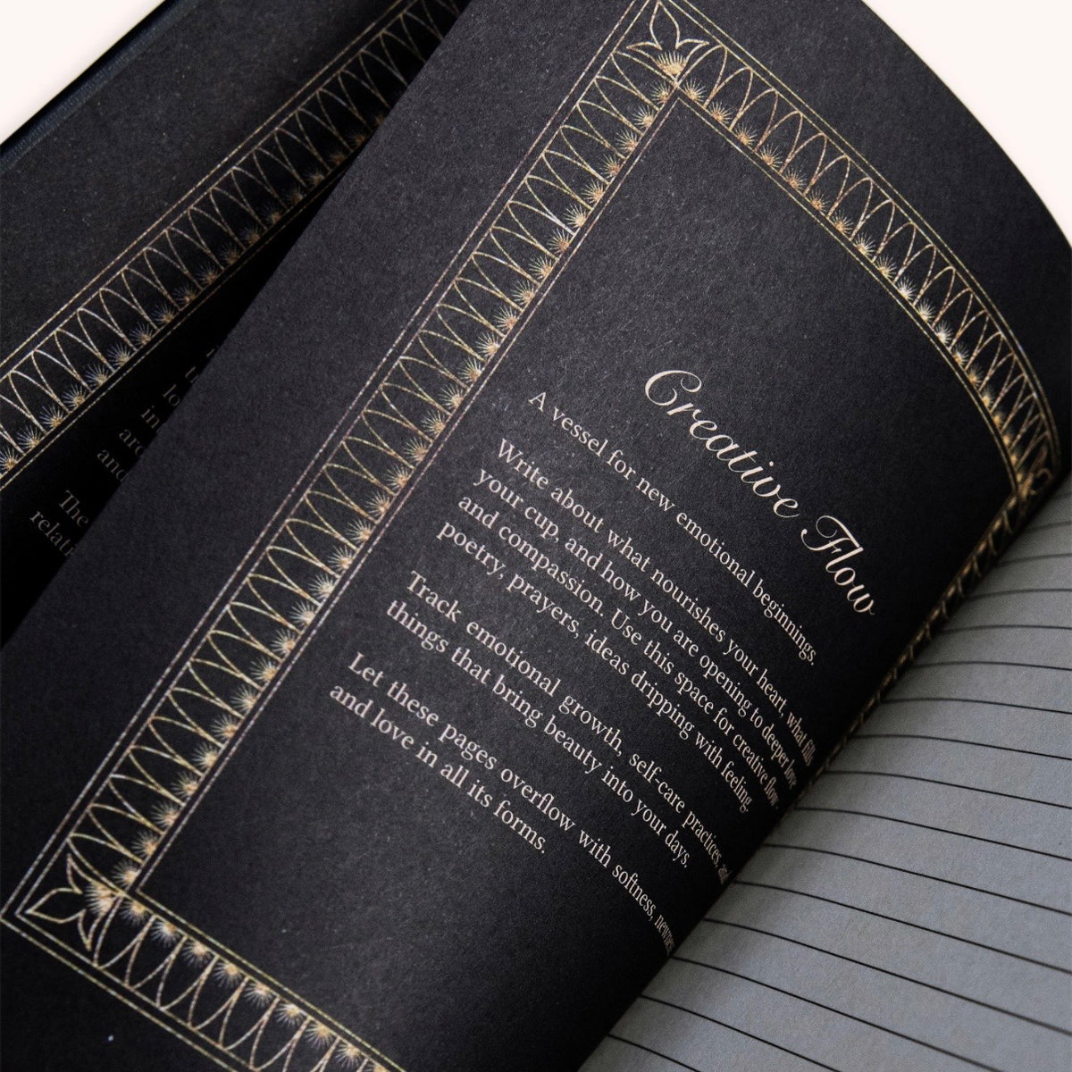 Dreamy Moons Ace of Cups Journal