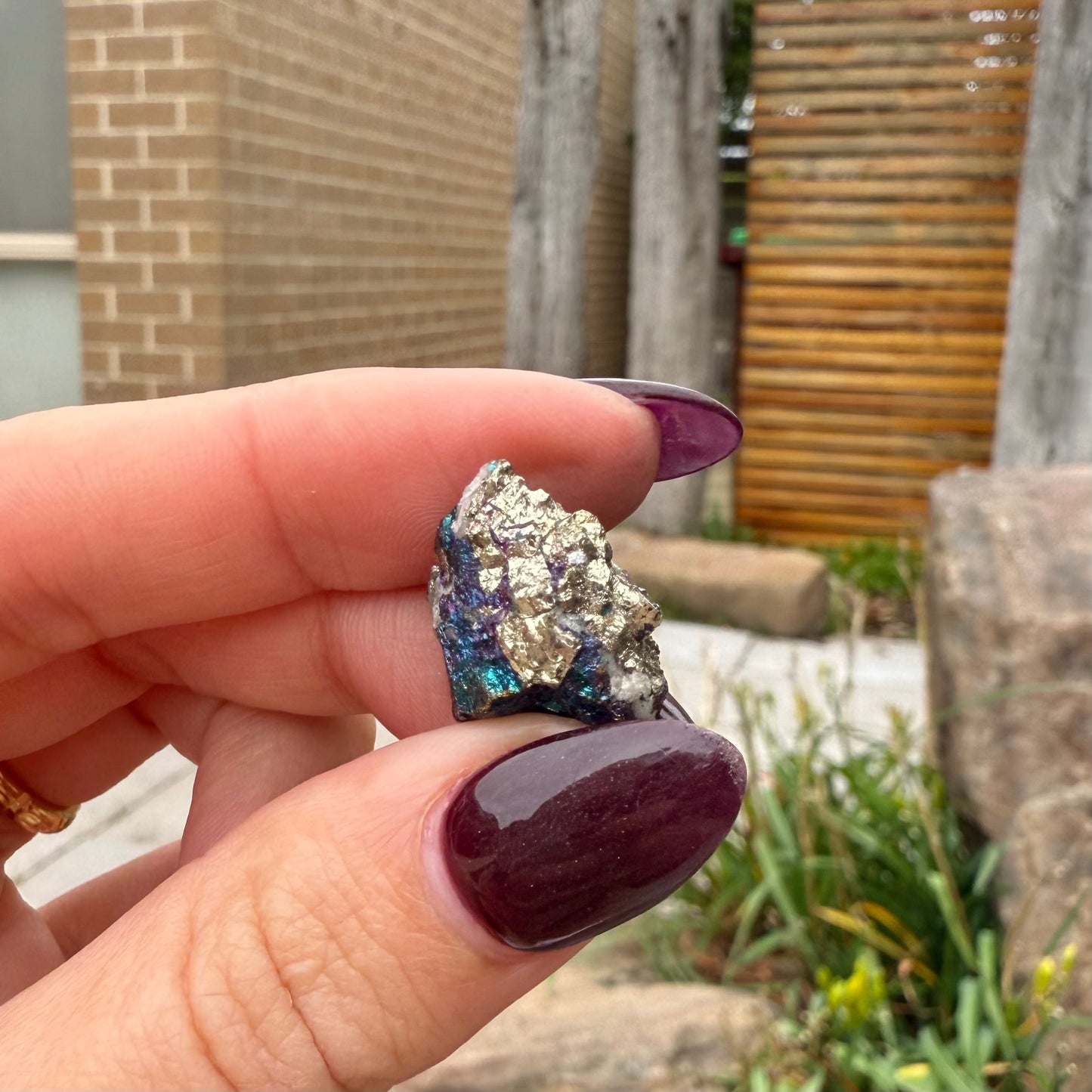 Peacock Ore #11