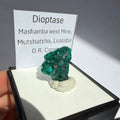 Dioptase Specimen