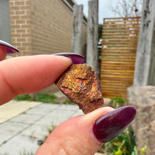 Peacock Ore #2