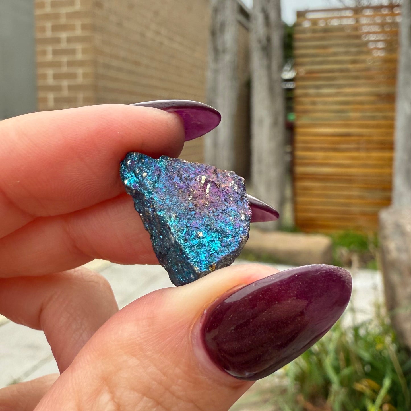Peacock Ore #4