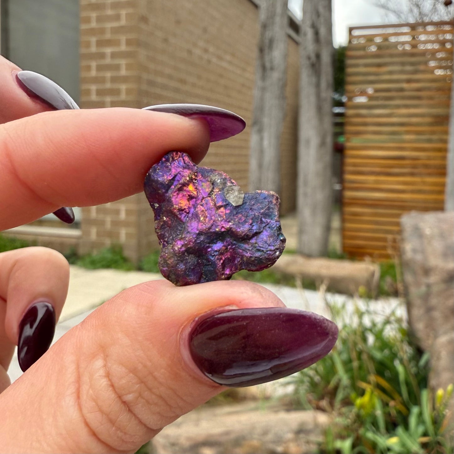 Peacock Ore #17