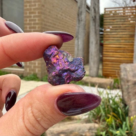 Peacock Ore #17