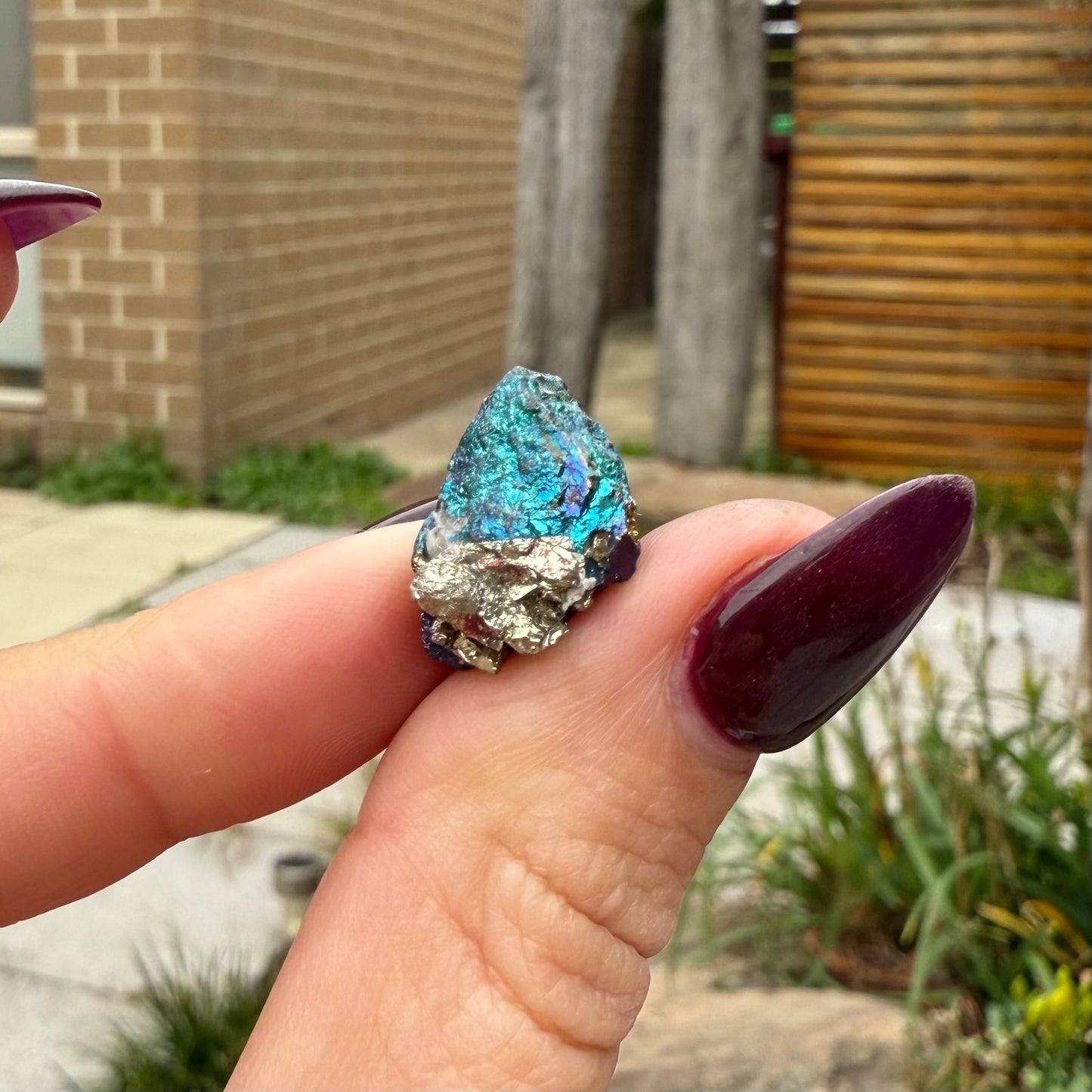 Peacock Ore #9