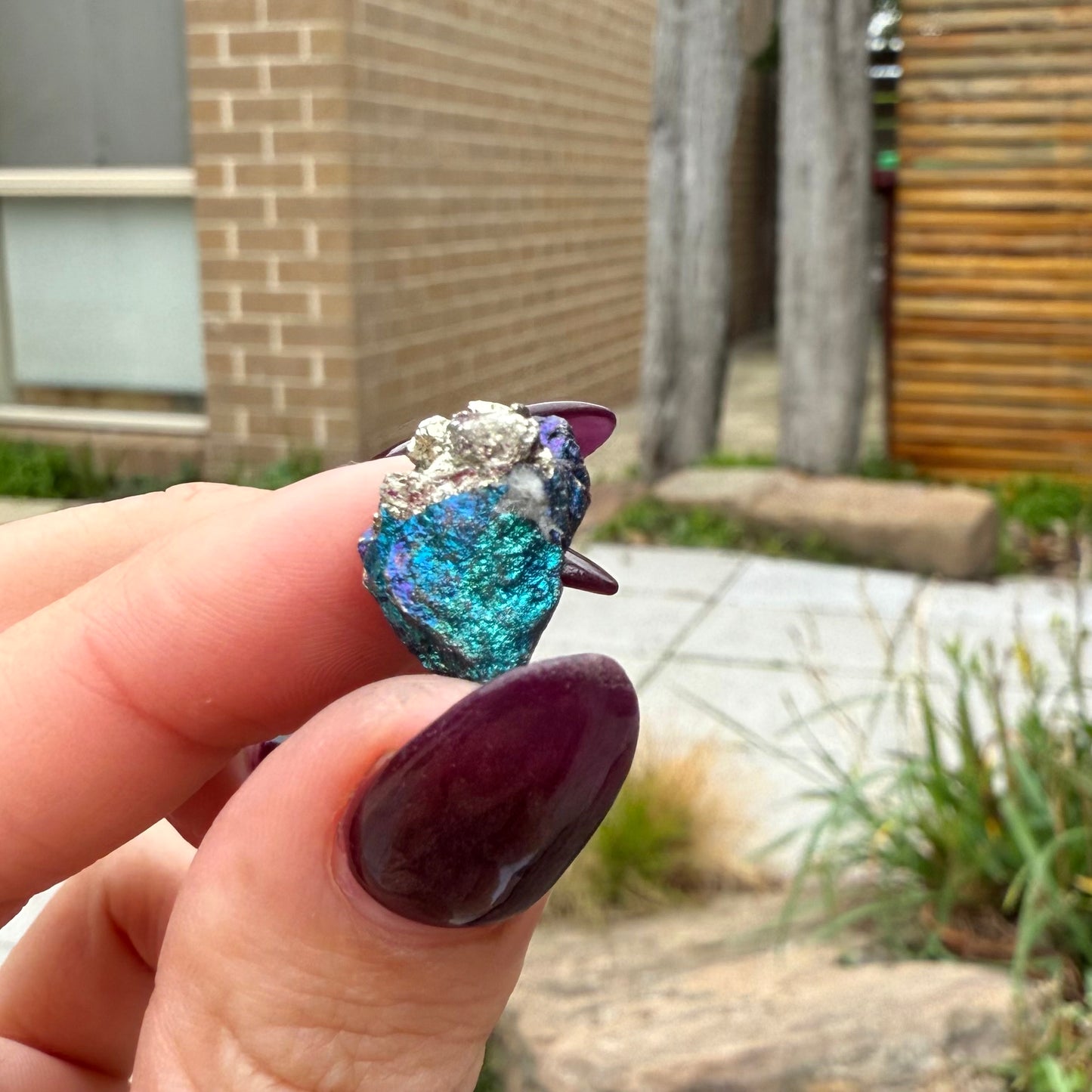 Peacock Ore #9