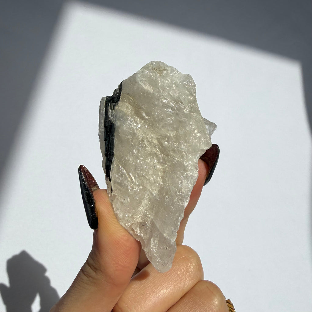 Black Tourmaline In Quartz Rough