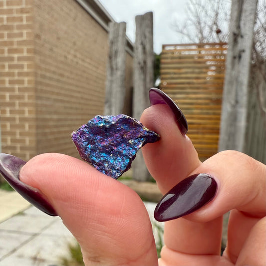 Peacock Ore #3