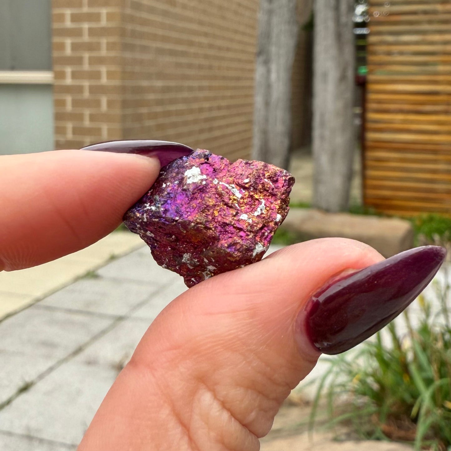 Peacock Ore #10